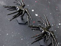 Nikon2442 : web site, sci fi