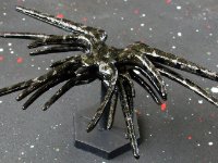 Nikon2447 : web site, sci fi